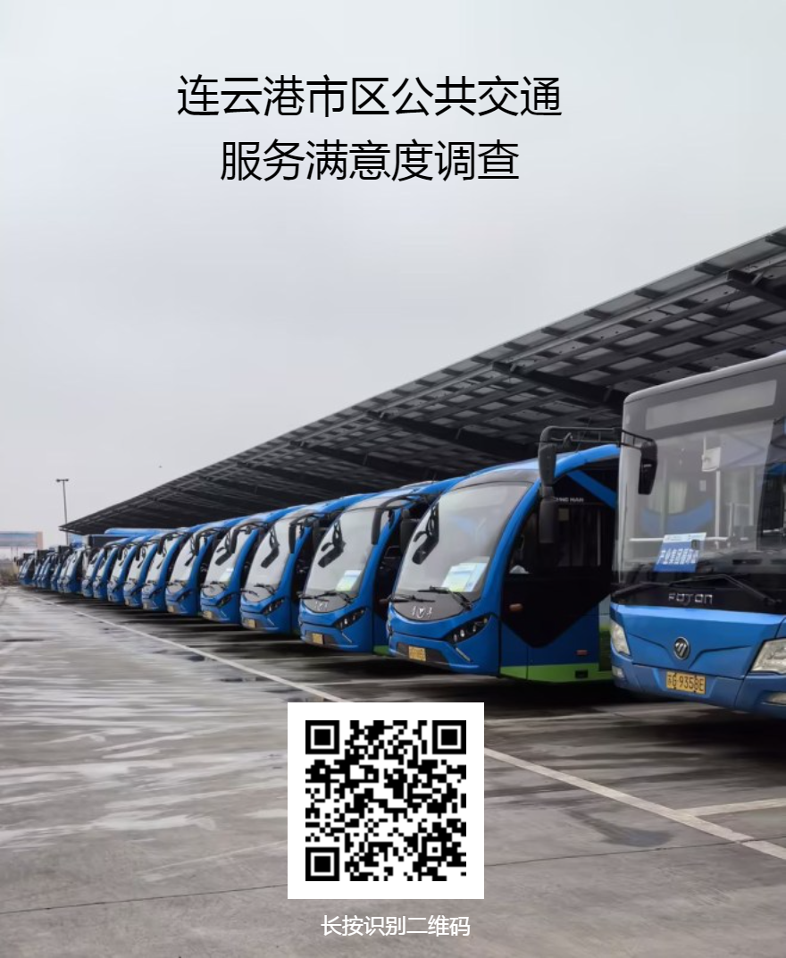 2023年連云港市區(qū)公共交通服務(wù)滿意度調(diào)查