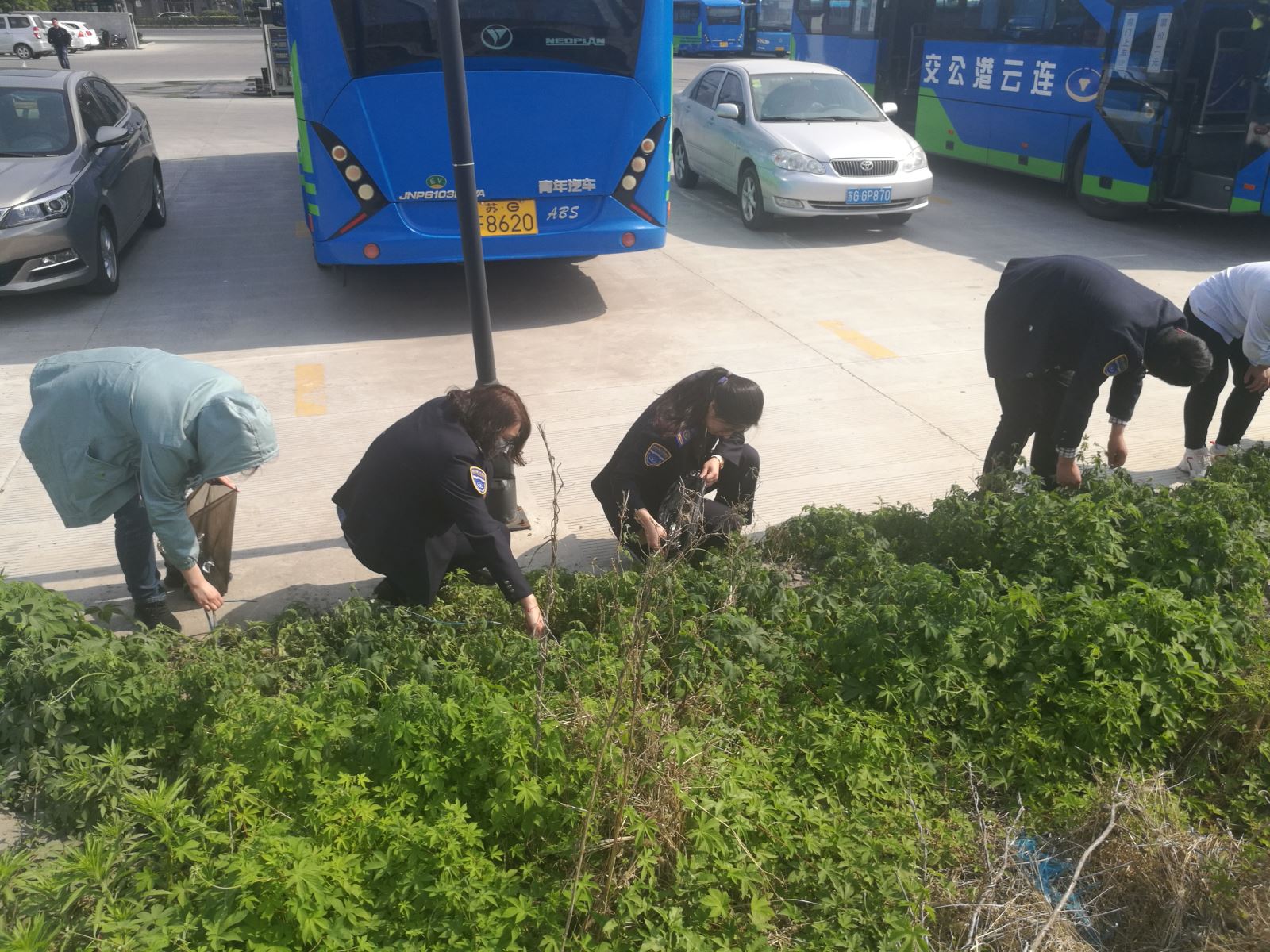 公交集團經(jīng)營發(fā)展事業(yè)部開展清理垃圾志愿活動